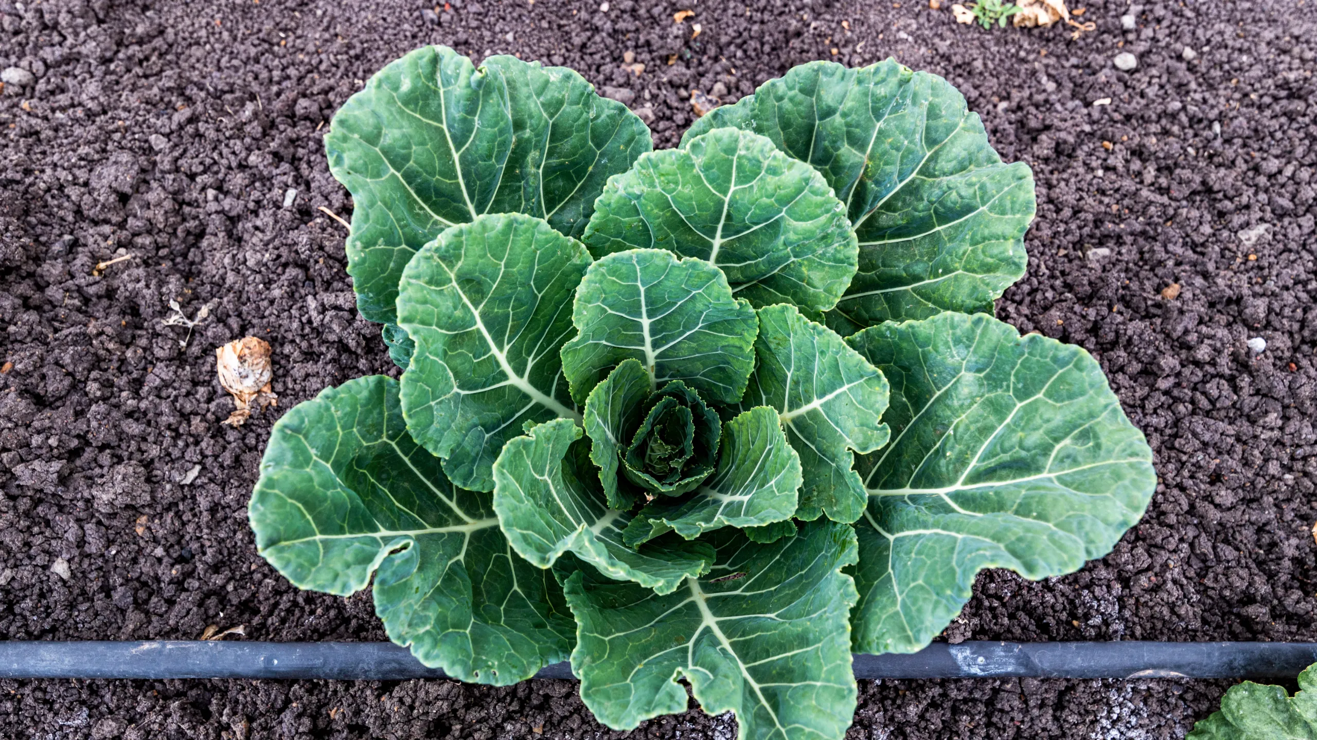 Products Drip Kit IrriHub