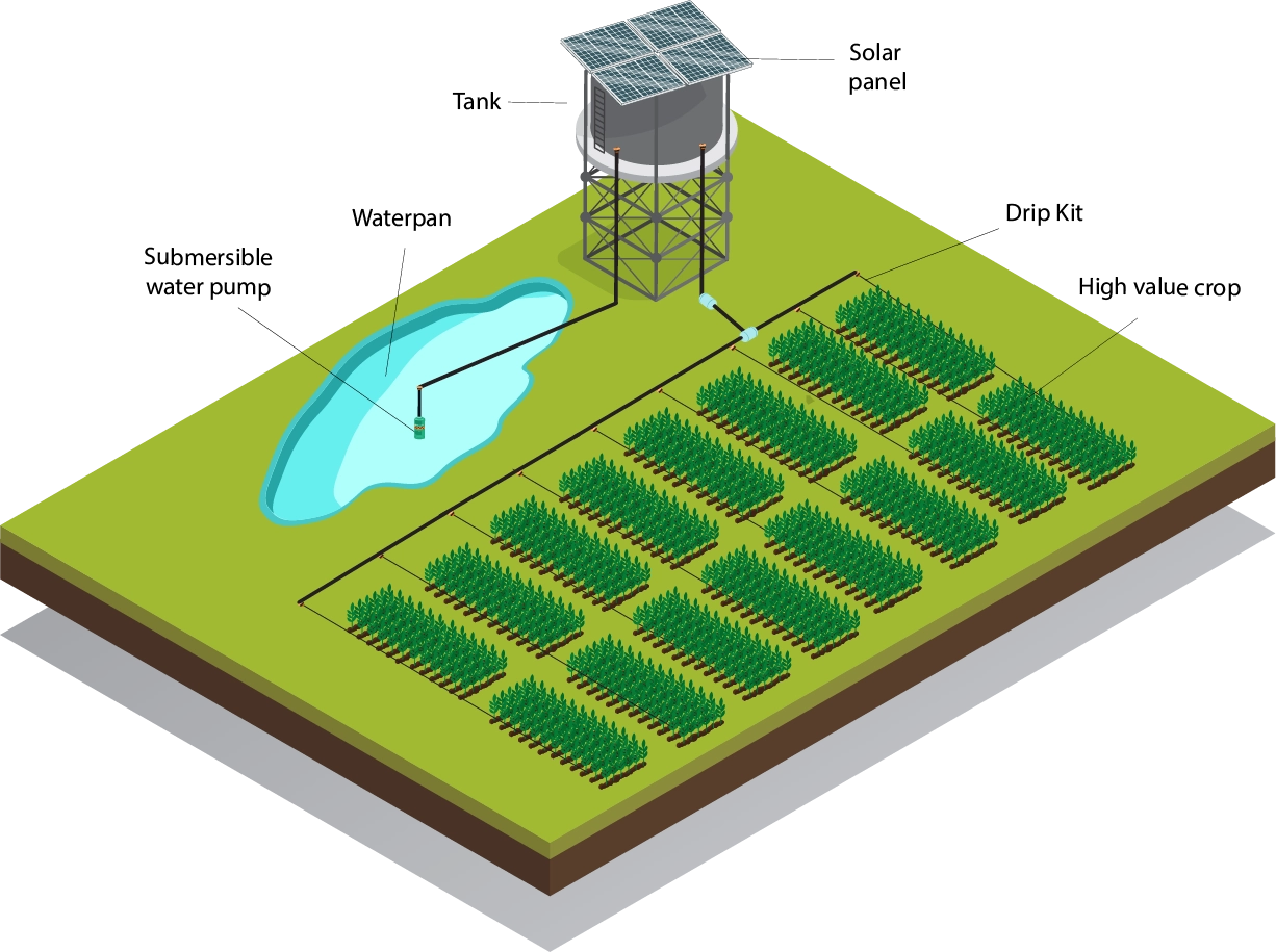 Illustration of the irrigation process