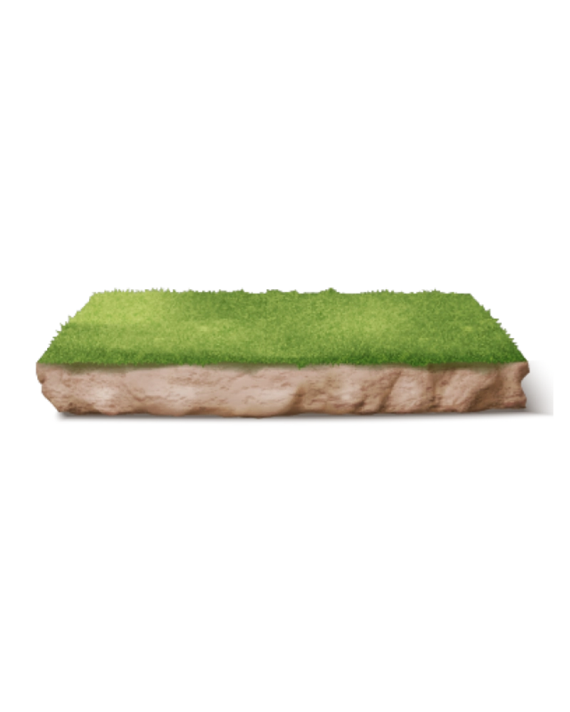 Illustration of piece of land