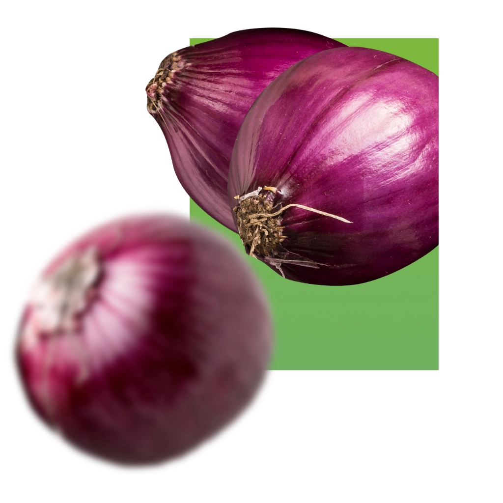 Onion Value Pack